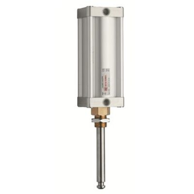 Vérin pneumatique à double effet
