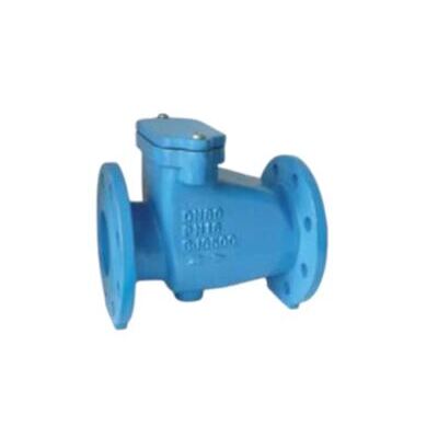 DN 50 Rückschlagklappe mit Flanschen