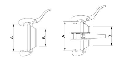 BAZZOLI Partie femelle